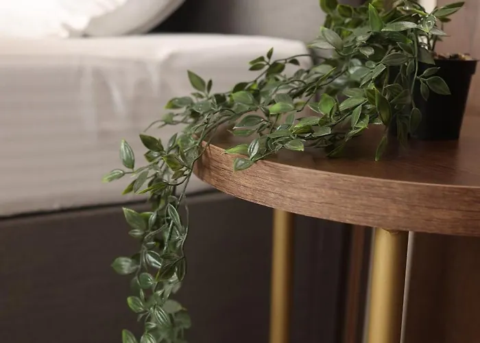 Hotel Sonio Boutique Mamaia